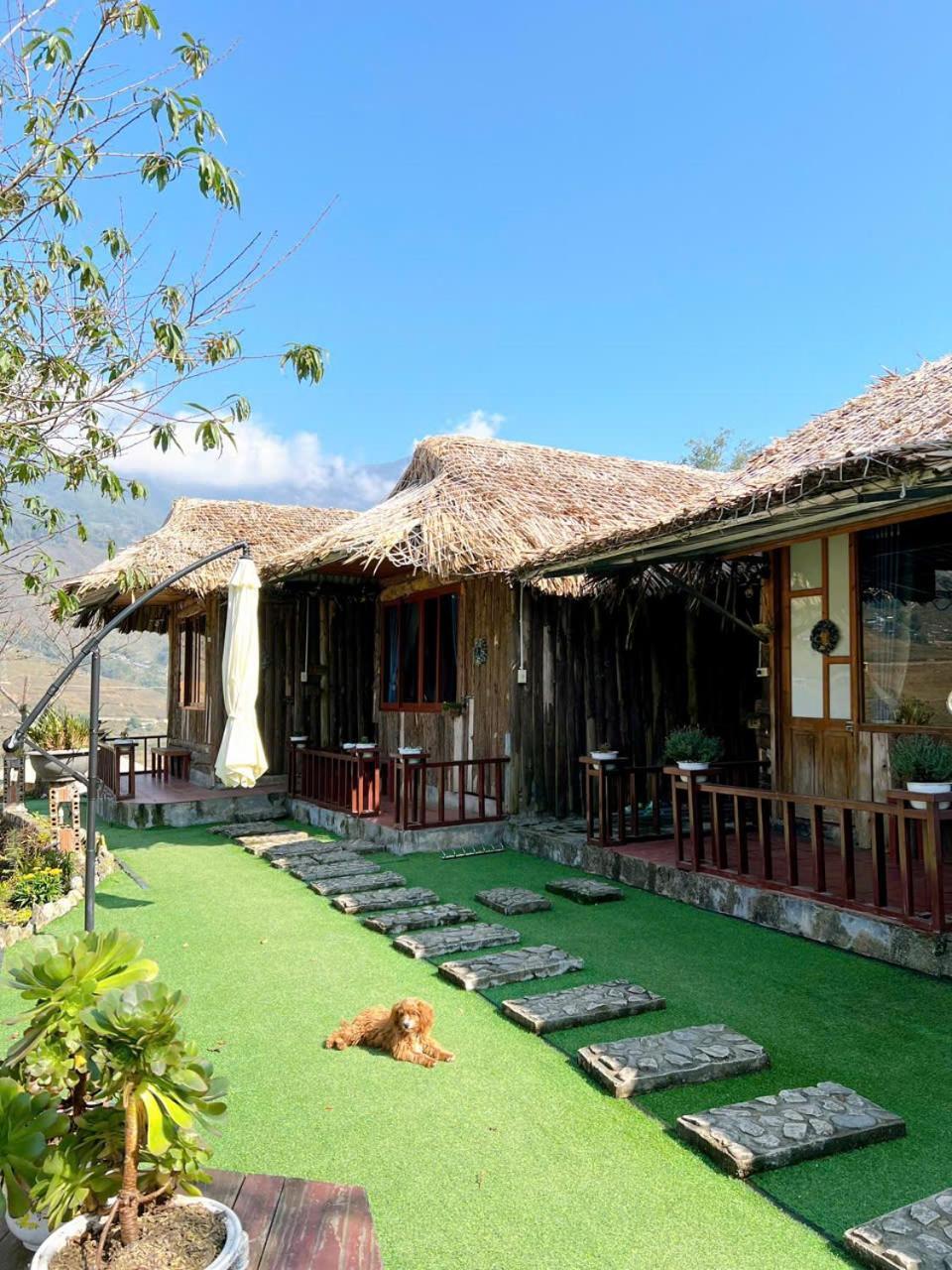 Sapa Eco Hugo Bed & Breakfast Ngoại thất bức ảnh