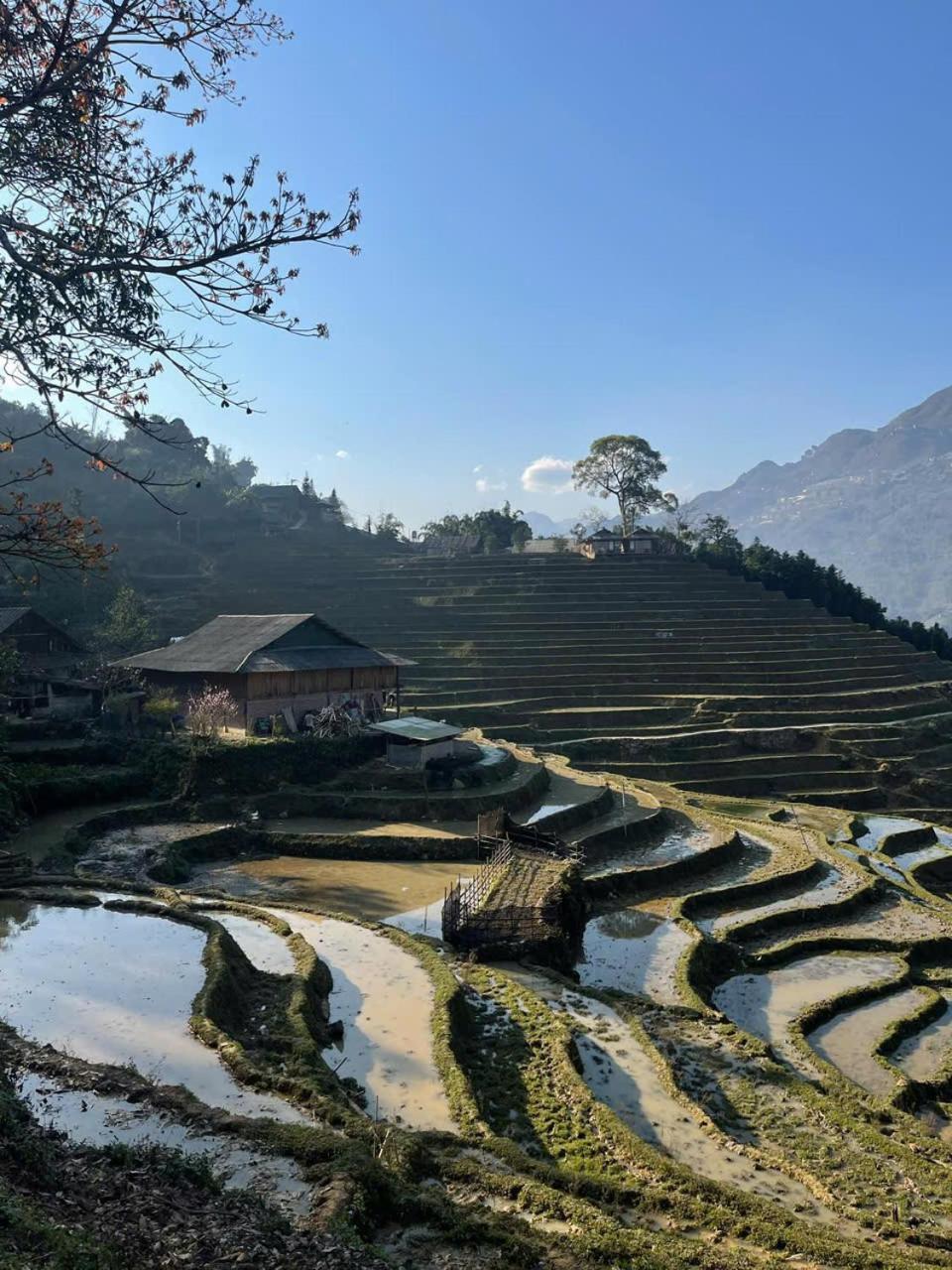 Sapa Eco Hugo Bed & Breakfast Ngoại thất bức ảnh
